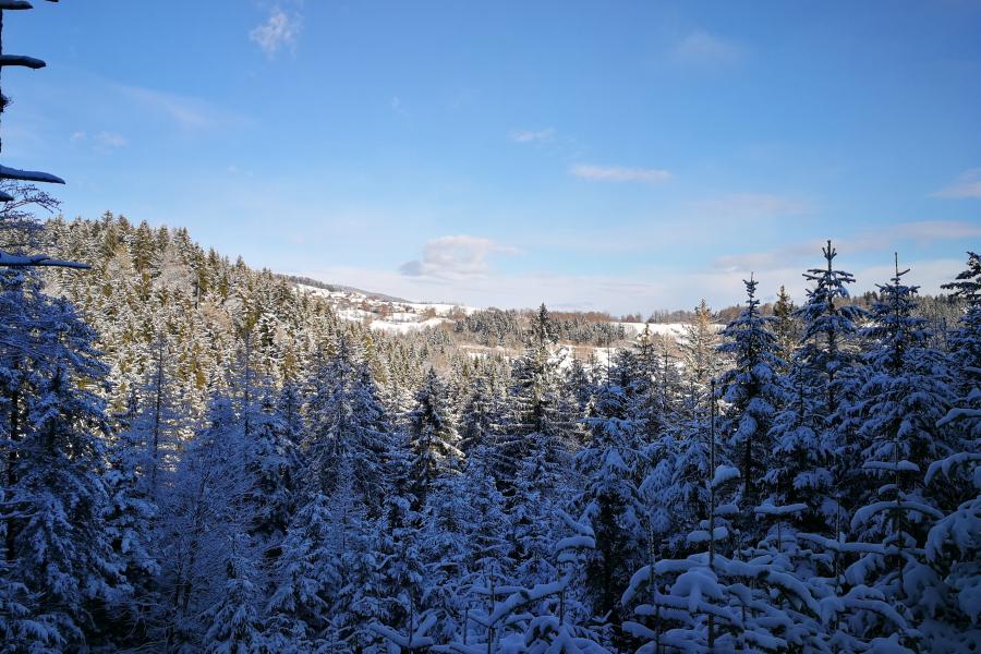 Schneelandschaft Österreich